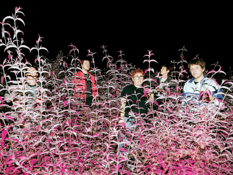 Alien Boy – “Wondering Still”