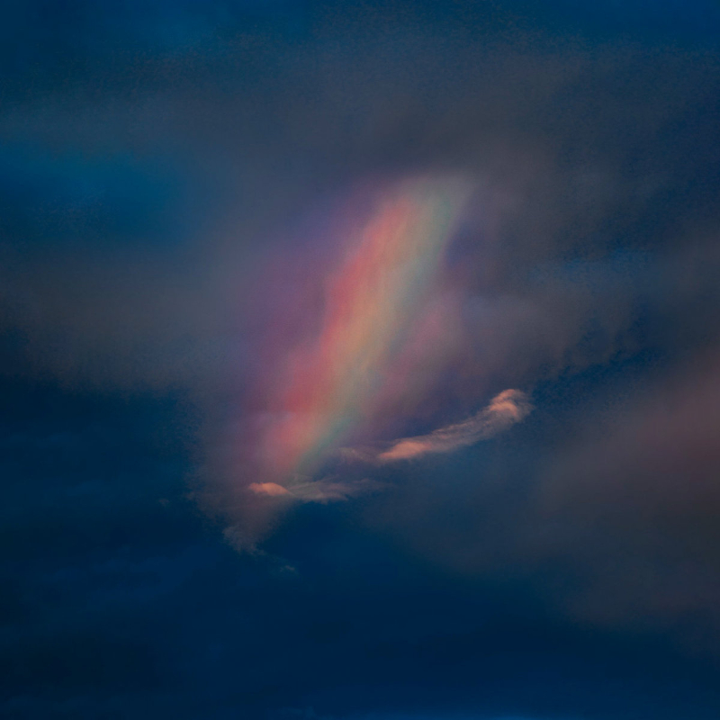 Recommended Album: Pool Kids – ‘Pool&nbsp;Kids’