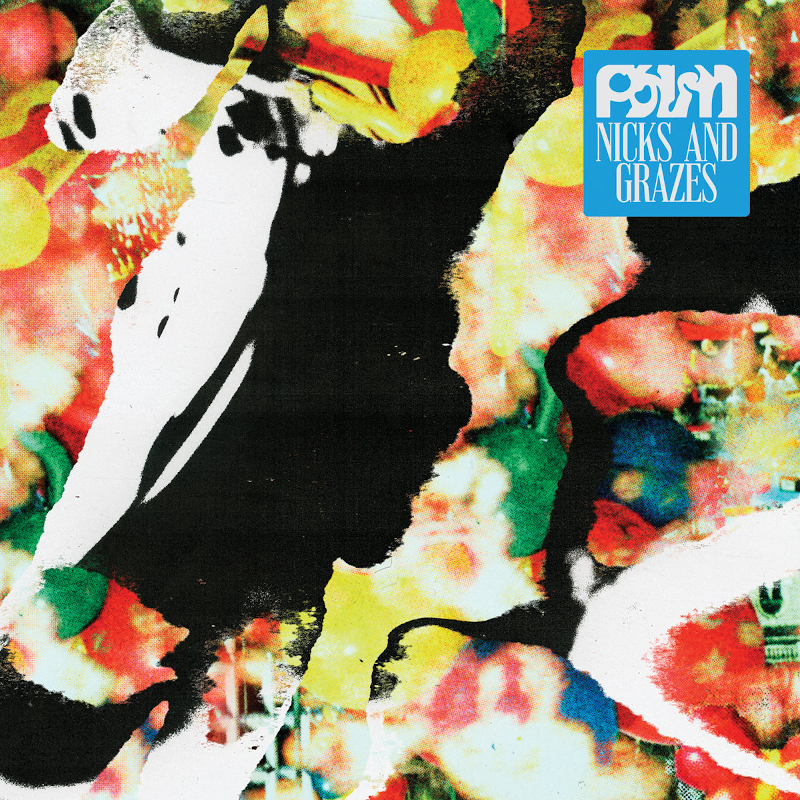 Recommended Album: Palm – ‘Nicks and Grazes’