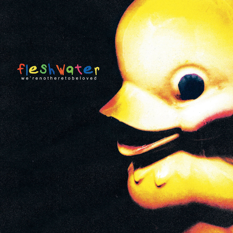 Recommended Album: fleshwater – ‘We’re Not Here to Be Loved’