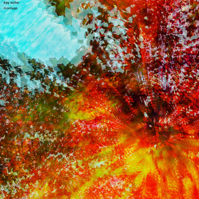 Recommended Album: kay echo –&nbsp;‘montage’