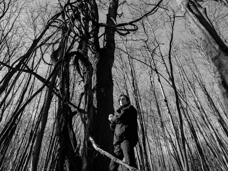 Wicca Phase Springs Eternal – “Moving Without Movement”