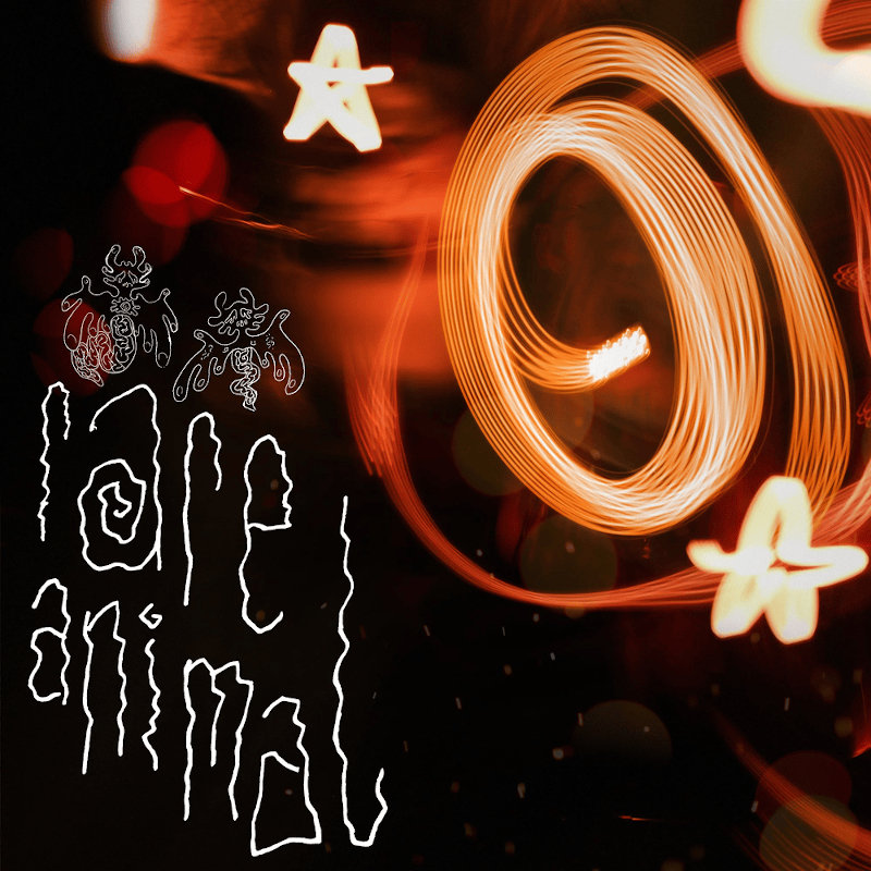 glass beach – “rare&nbsp;animal”