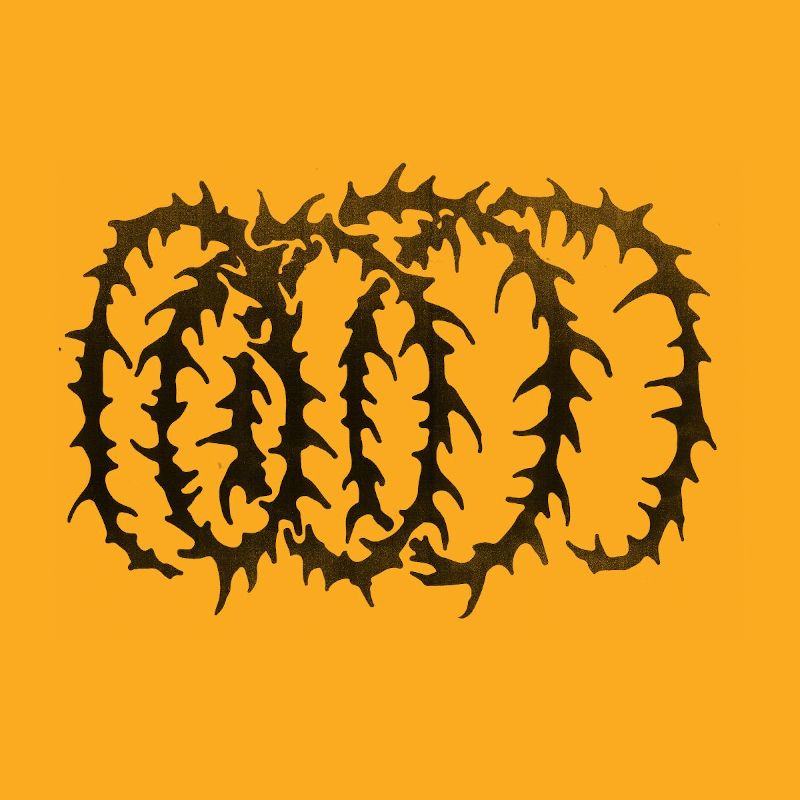 Recommended Album: Hotline TNT – ‘Carousel’