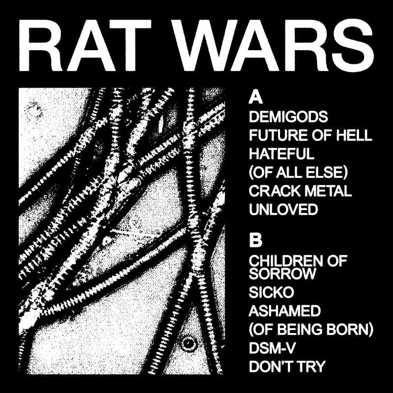 Recommended Album: HEALTH – ‘RAT WARS’