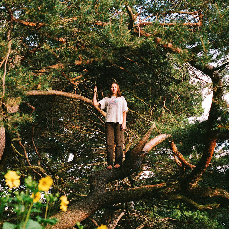 Recommended Album: PACKS – ‘Melt the Honey’