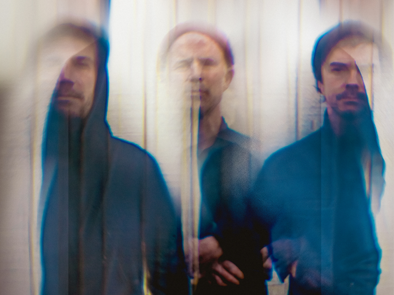 Vulture Feather – “Friendship”