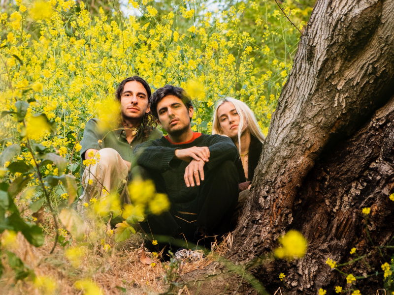 Peel Dream Magazine – “Lie In The Gutter”