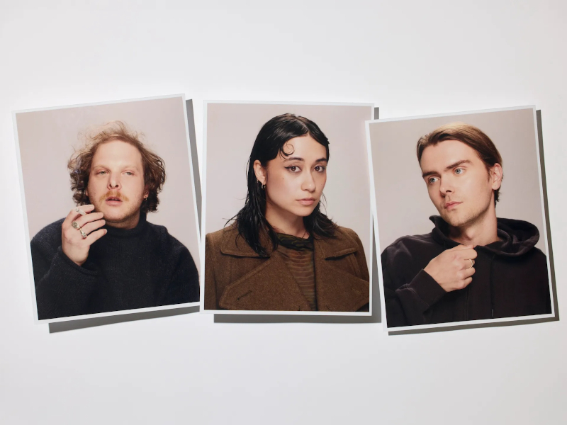 Spirit of the Beehive – “LET THE VIRGIN DRIVE”