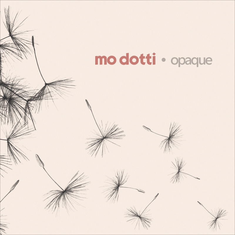 Recommended Album: mo dotti – ‘opaque’