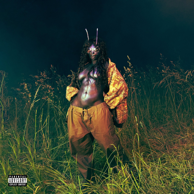 Recommended Album: SZA – ‘SOS Deluxe: LANA’