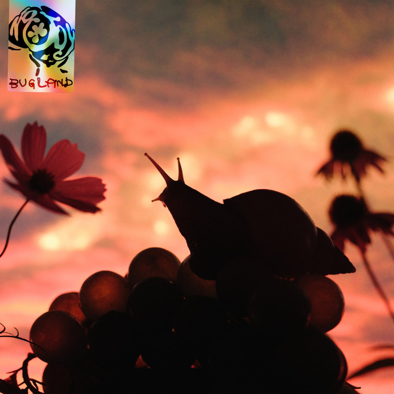 The album artwork for No Joy's 'Bugland'.