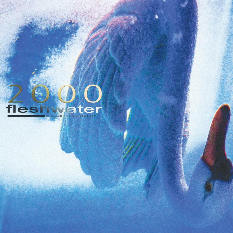 The album artwork for Fleshwater's '2000: In Search Of Endless Sky'.