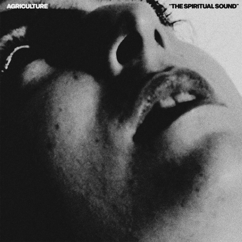 Recommended Album: Agriculture – ‘The Spiritual&nbsp;Sound’