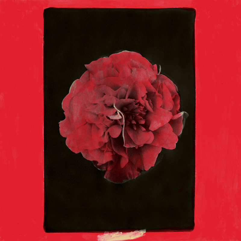 The album artwork for Activity's 'A Thousand Years In Another Way'.