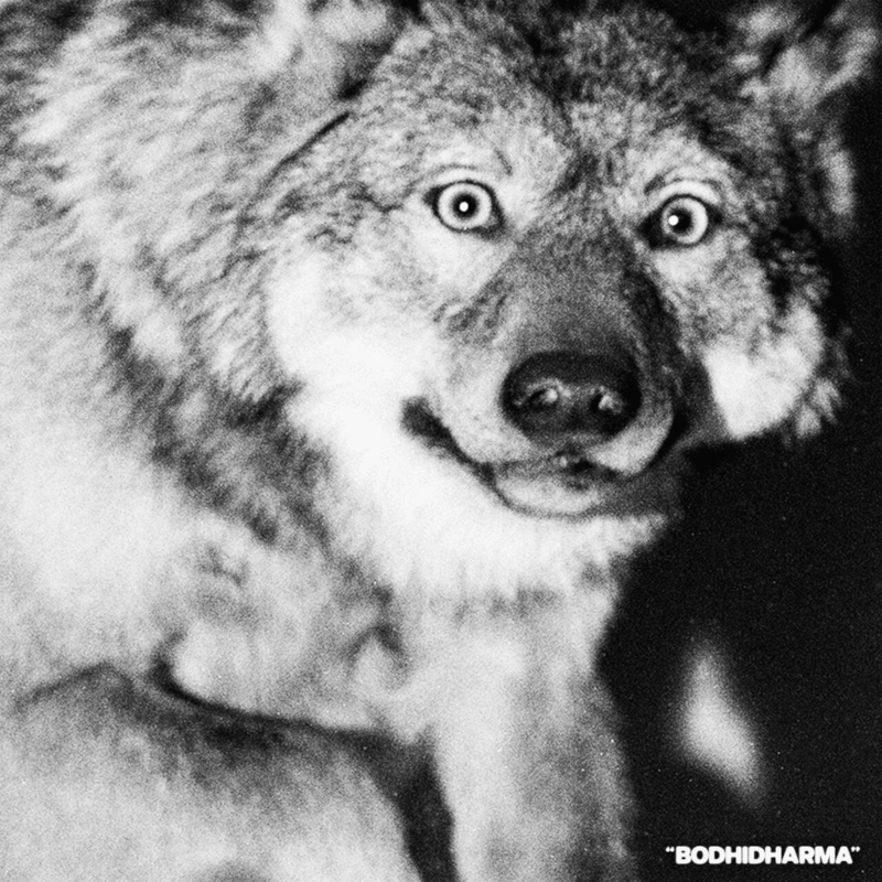 The single artwork for Agriculture's "Bodhidharma".