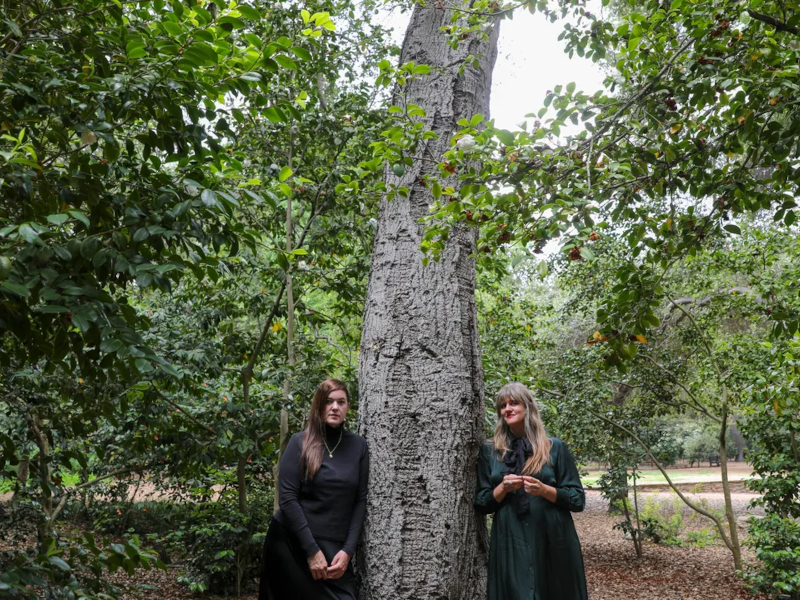 A press photo of Mary Lattimore and Julianna Barwick.