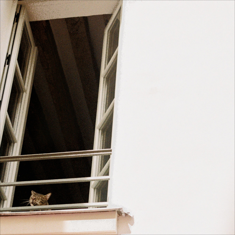 The album artwork for M(h)aol's 'Something Soft'.