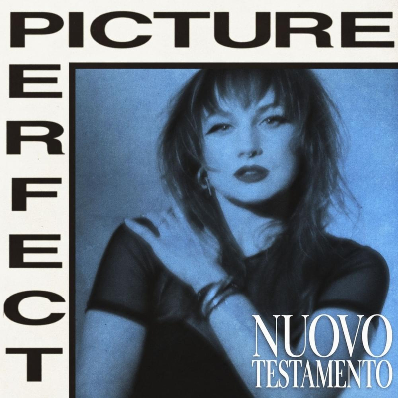 The single artwork for Nuovo Testamento "Picture Perfect".