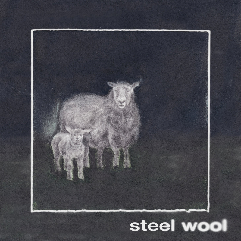 The EP artwork for Steel Wool's 'Steel Wool'.
