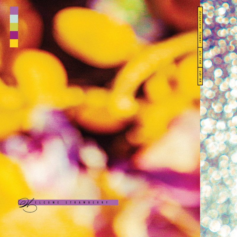 The album artwork for Welcome Strawberry's 'desperate flower'.