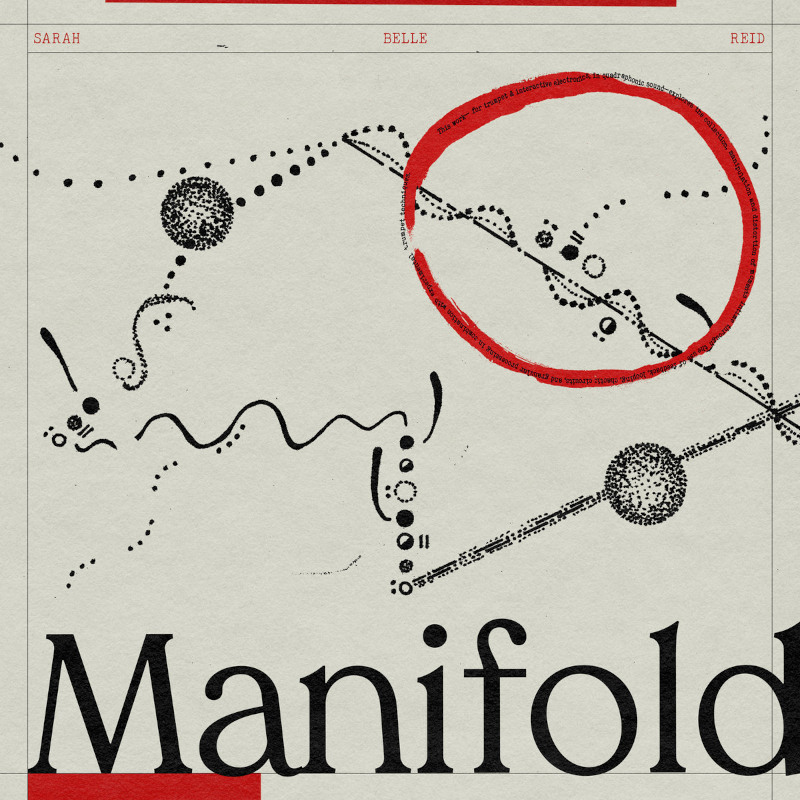 The album artwork for Sarah Bell Reid's 'Manifold'.