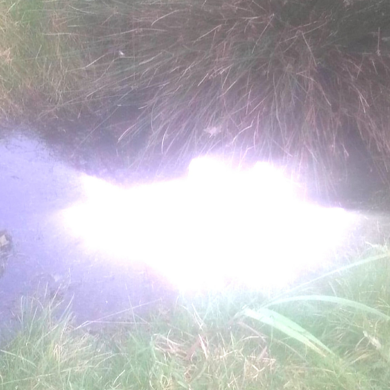 The single artwork for Nyxy Nyx's "Concerning Evil Spirits".