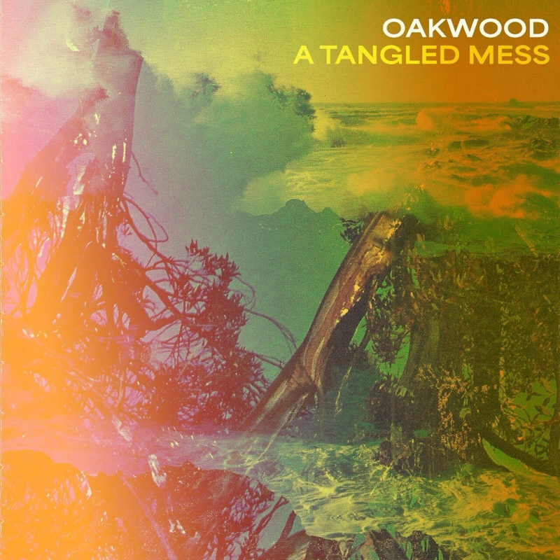 Oakwood – “A Tangled Mess”